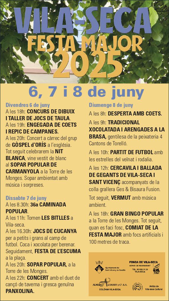 FESTA MAJOR DE VILA-SECA 2025